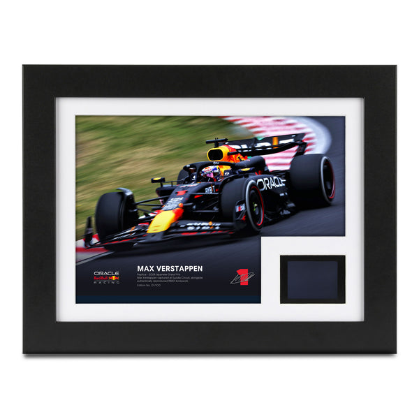 Max Verstappen 2024 Red Bull Racing Replica Bodywork & Photo